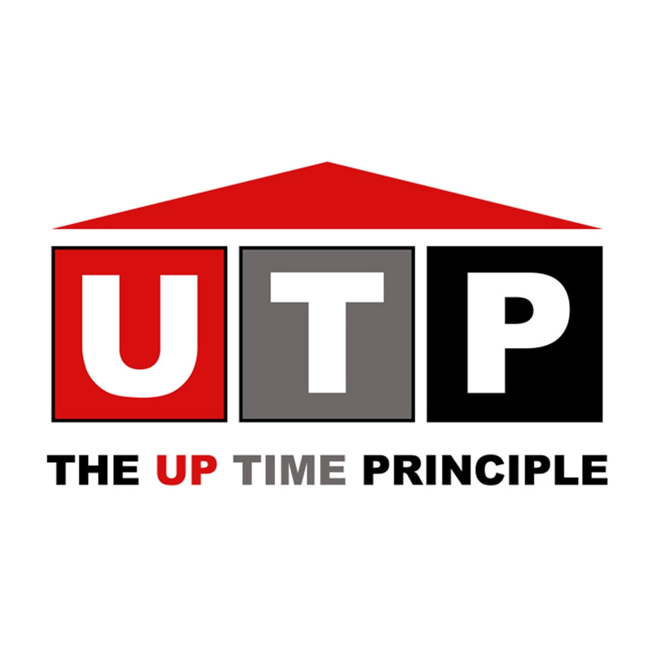 Professional service